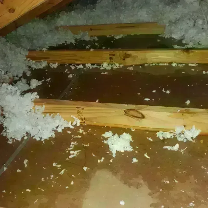 Attic Water Damage in Windham County, CT